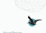design a professional book layout using adobe indesign